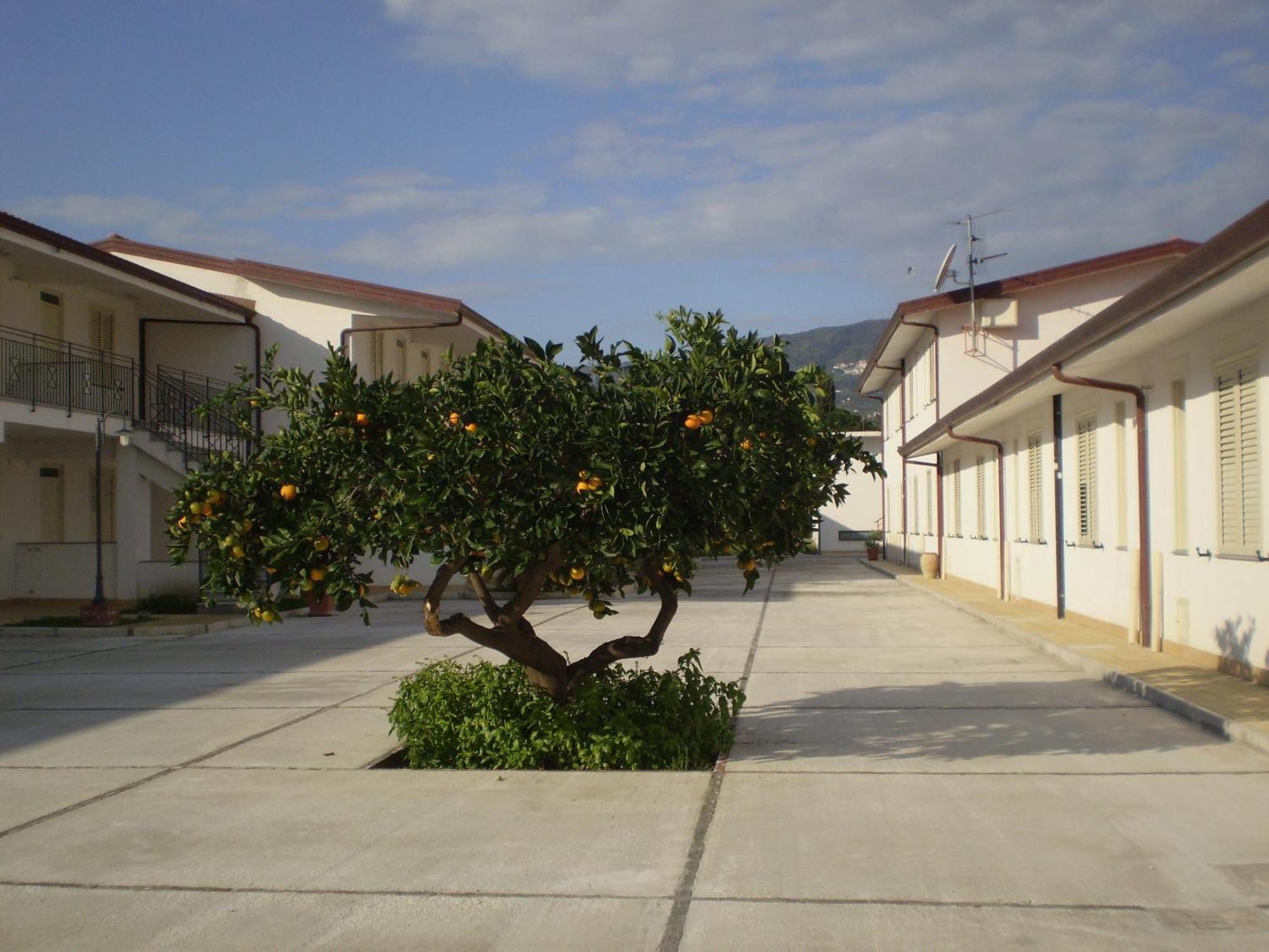 Medimare Residence Club Patti Bagian luar foto